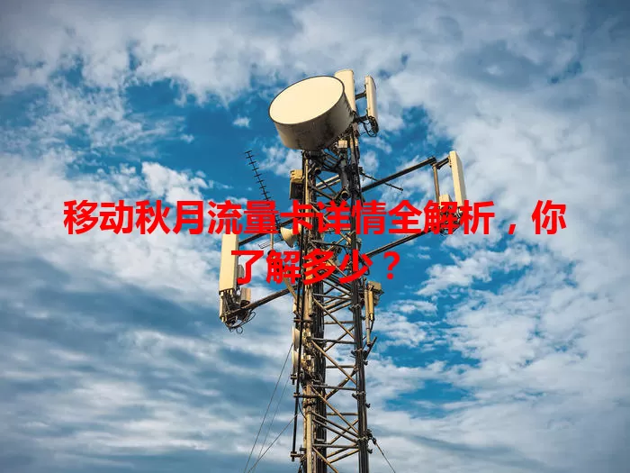 移动秋月流量卡详情全解析，你了解多少？