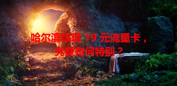 哈尔滨惊现 19 元流量卡，究竟有何特别？