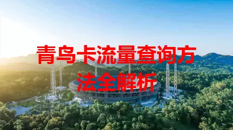青鸟卡流量查询方法全解析