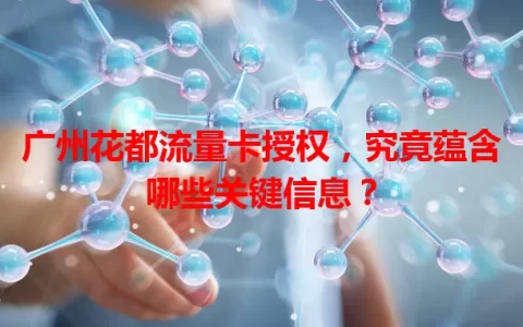 广州花都流量卡授权，究竟蕴含哪些关键信息？