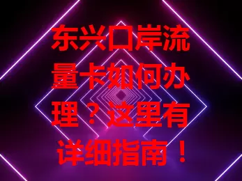 东兴口岸流量卡如何办理？这里有详细指南！