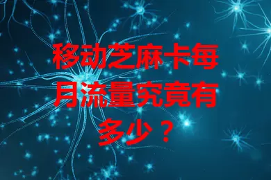 移动芝麻卡每月流量究竟有多少？