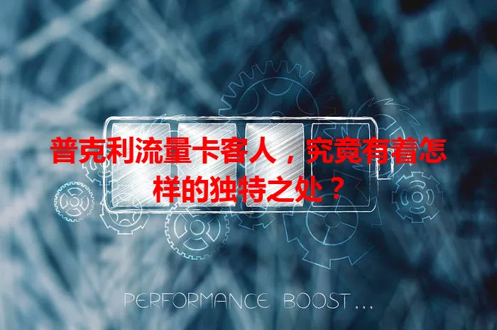 普克利流量卡客人，究竟有着怎样的独特之处？
